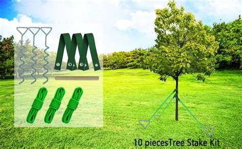 garden stakes bunnings|Installed garden stakes to straighten up trees .